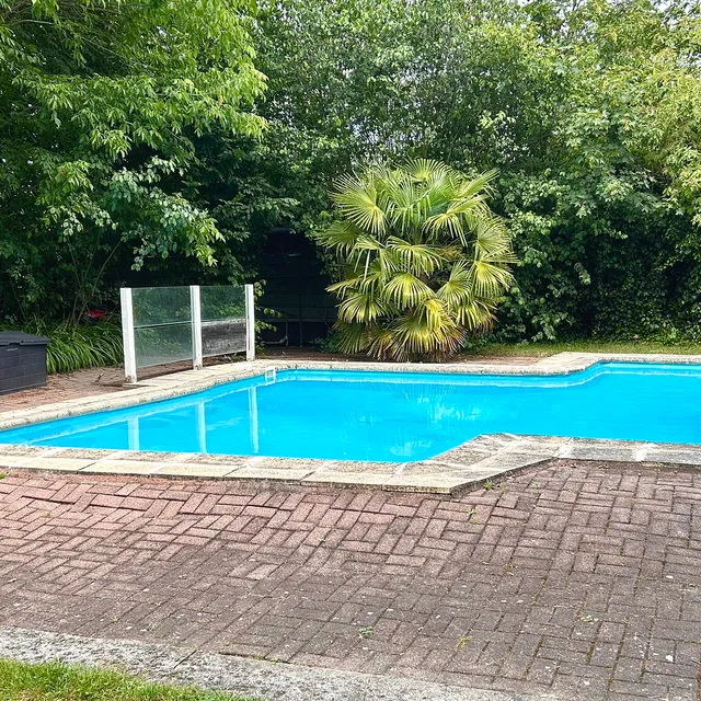 La piscine extérieure du studio, entourée du jardin